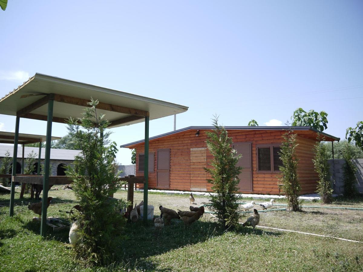 Windmill Shkodra Gesthouse Camping & Grill Exterior foto