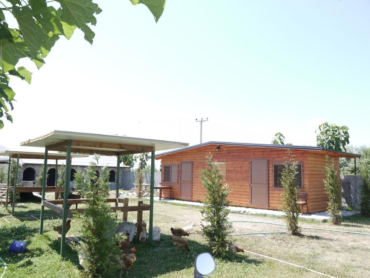 Windmill Shkodra Gesthouse Camping & Grill Exterior foto