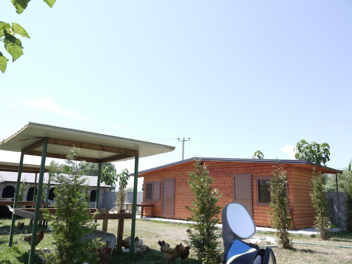 Windmill Shkodra Gesthouse Camping & Grill Exterior foto